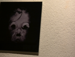 Rohringer, Hannes