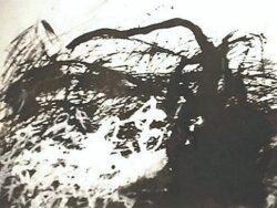 Bugatti, Wulf