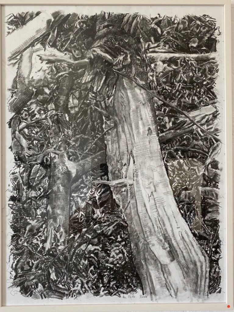 Hauenschild, Peter