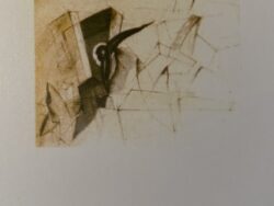 Rohringer, Hannes